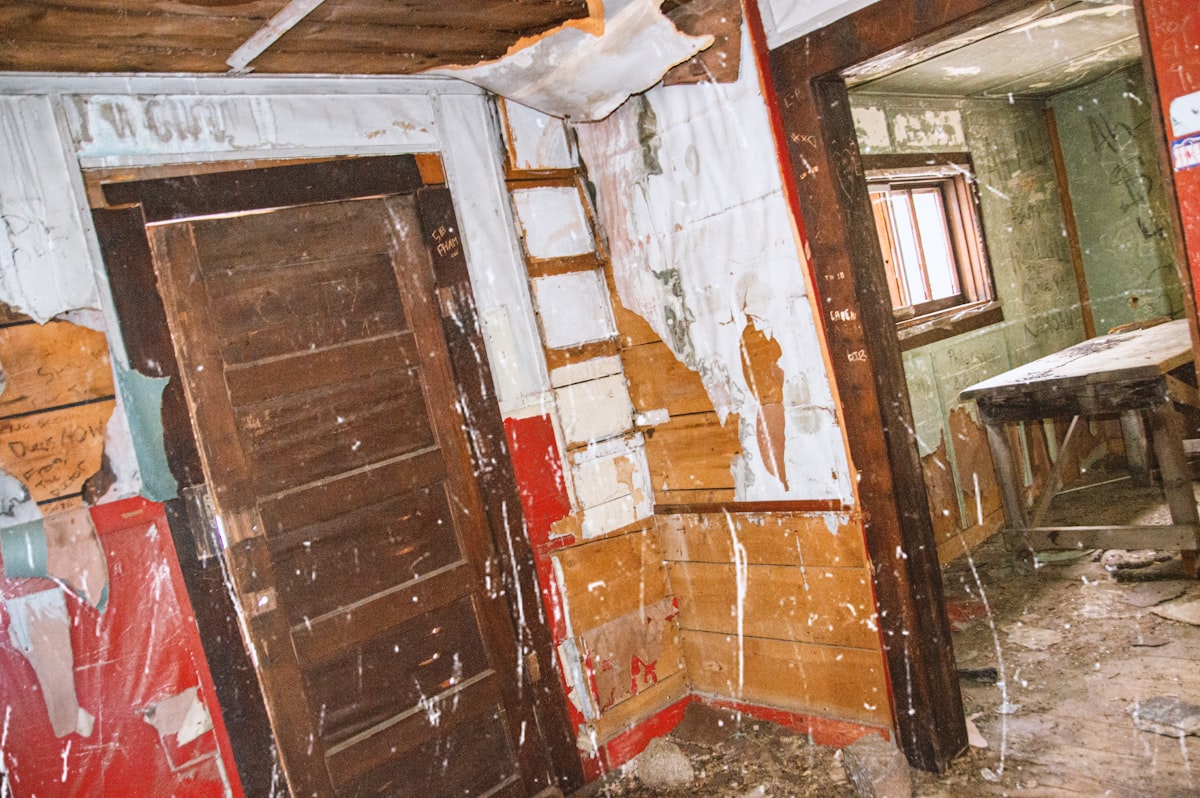 Mold Remediation service in Logan, UT