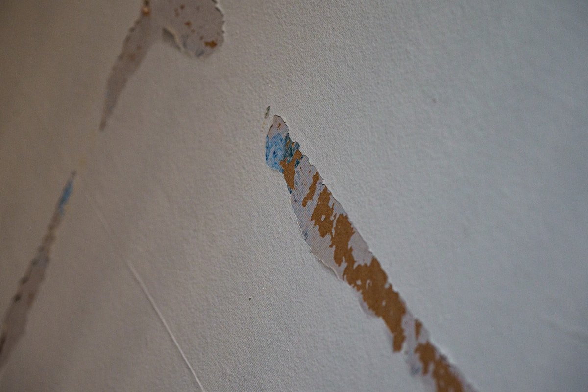 Flood Cleanup service in Logan, UT